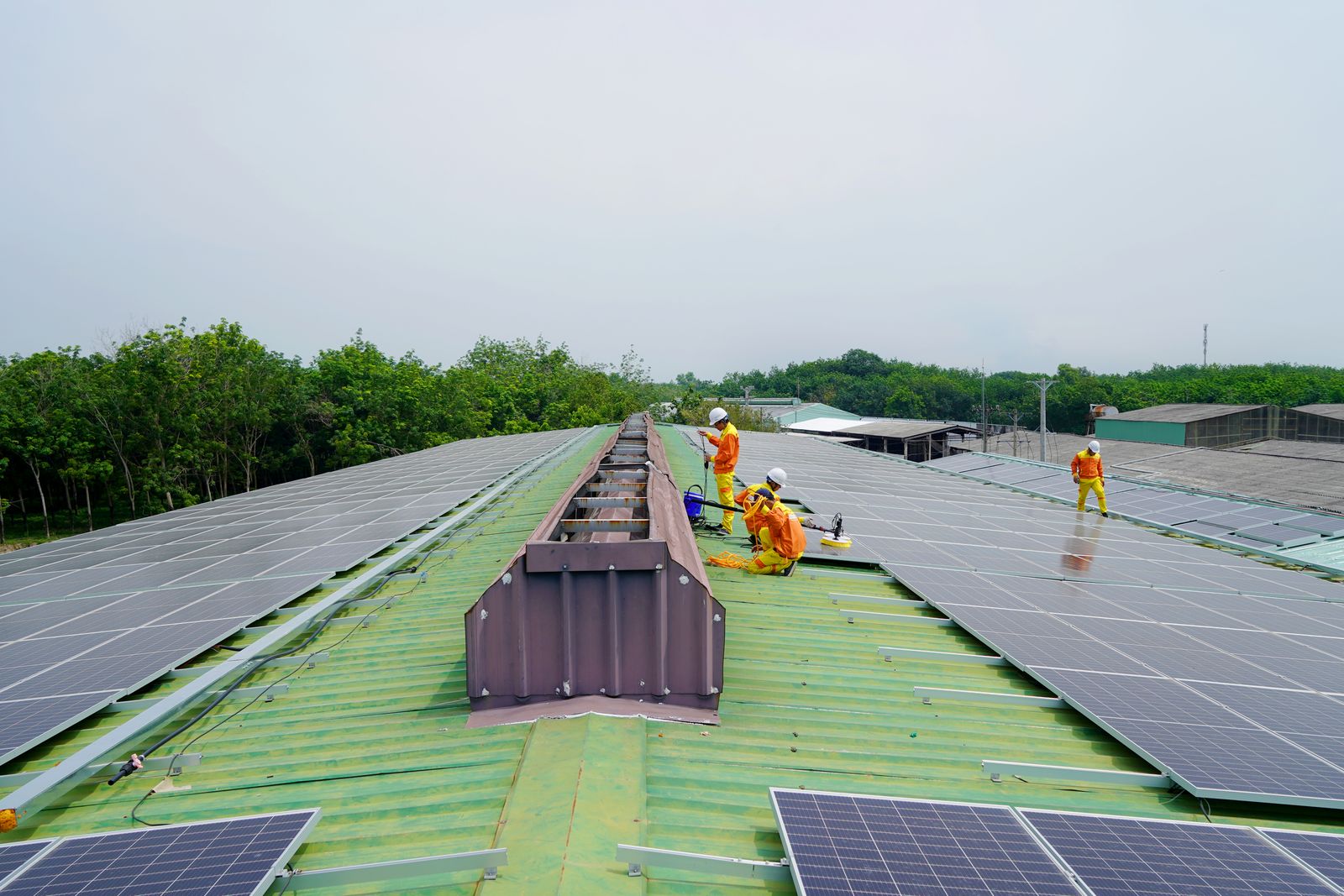 Installers setting modules on a rooftop array